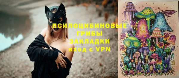 стафф Богданович